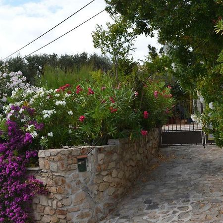 Apartment Les Moulins Saint-Tropez Eksteriør bilde