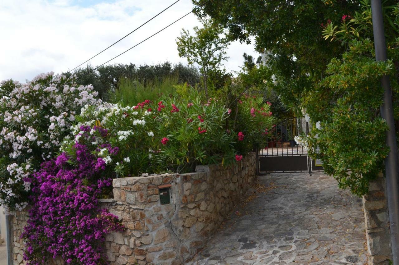 Apartment Les Moulins Saint-Tropez Eksteriør bilde